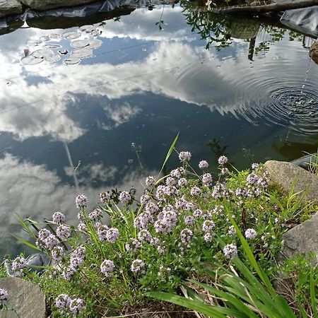 Il Giardino Segreto Lägenhet Beura Exteriör bild