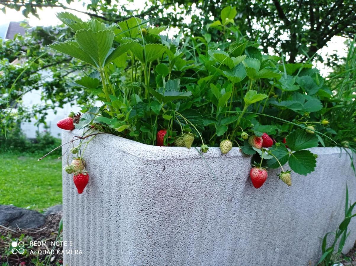 Il Giardino Segreto Lägenhet Beura Exteriör bild