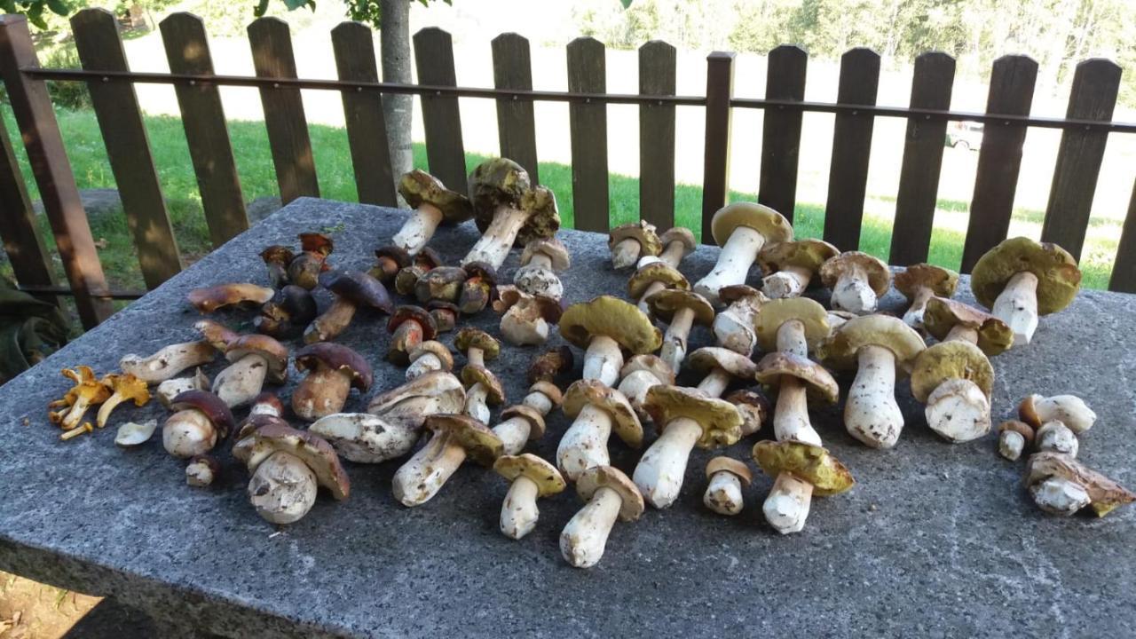 Il Giardino Segreto Lägenhet Beura Exteriör bild