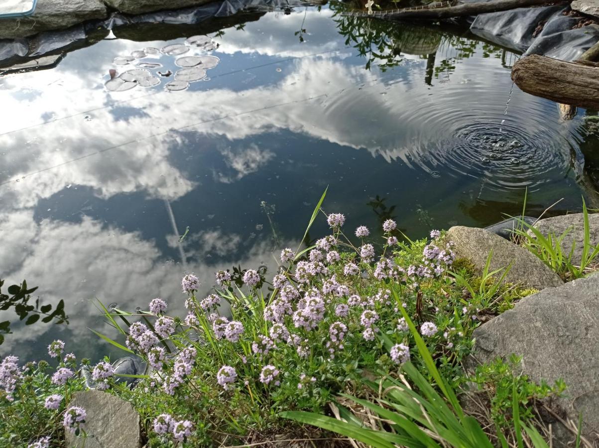 Il Giardino Segreto Lägenhet Beura Exteriör bild